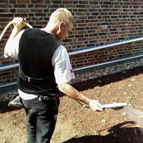 Arbeiten am Gründach