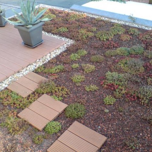 Gründach mit Terrasse