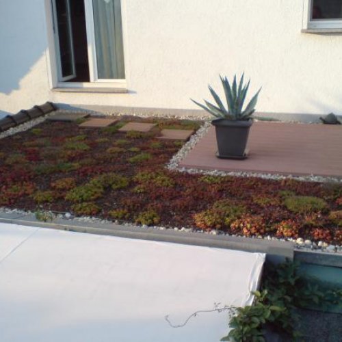 Gründach mit Terrasse