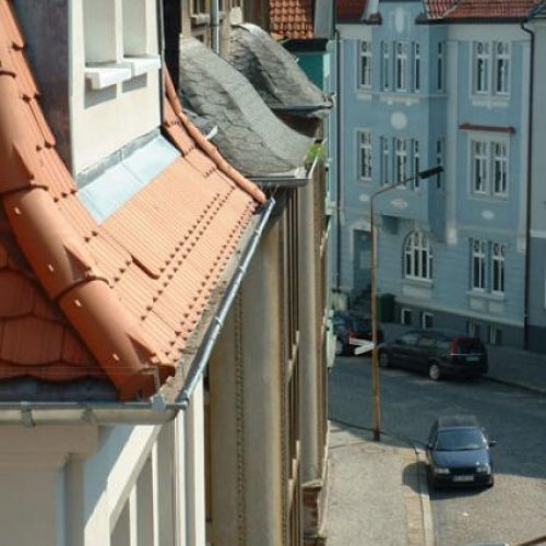 Taubendorn Litzendraht auf Dachrinne gespannt